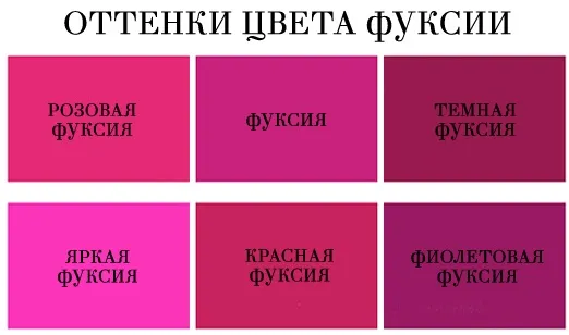 Цвет фуксии в одежде. Фото, сочетание с другими цветами. С чем носить туфли, платье, юбку цвета фуксии