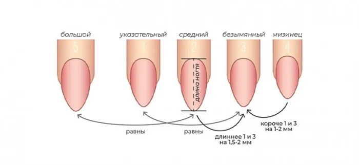 Методы контроля длины ногтей