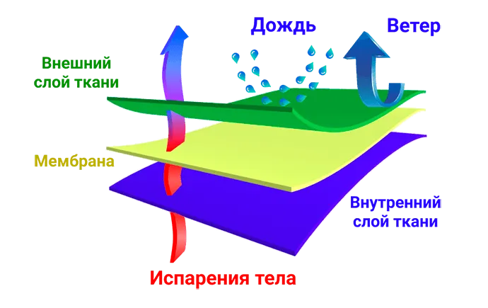 Мембрана