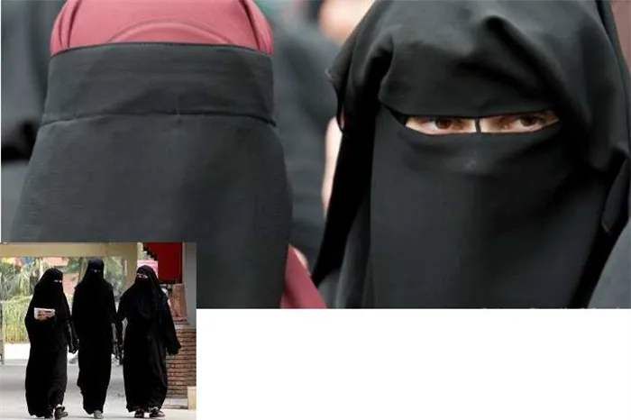 Различные виды одежды для мусульманских женщин характеризуются следующим