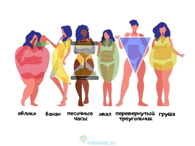 Различные формы женского тела