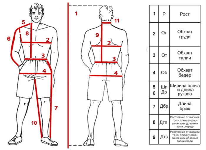 Диаграмма для правильной идентификации и измерения мужских размеров