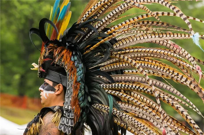 Индейская крылатая корона - Национальные роды коренных народов.
