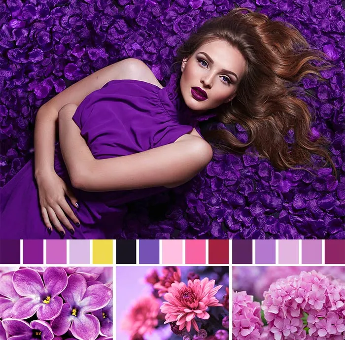 Фиолетовый цвет в одежде - палитра одежды