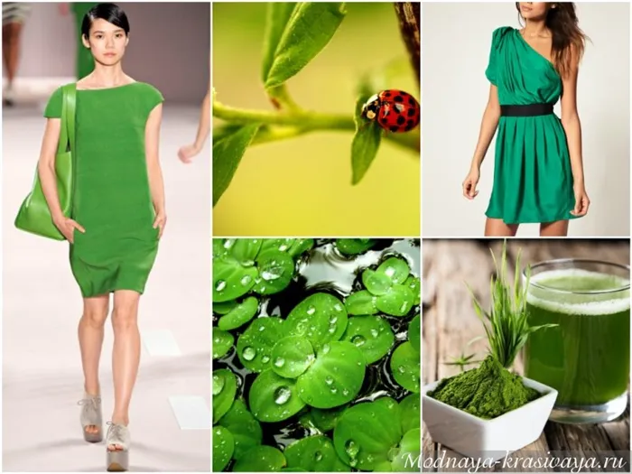 Цвет: Цвет зелени в одежде для девочек Цвет зелени в одежде для девочек Цвет зелени в женской одежде Цвет зелени в женской одежде Цвет зелени