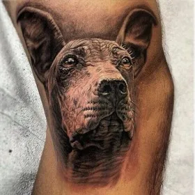 Татуировка на руке мужчины - собака