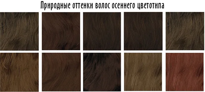 Натуральные оттенки волос для осеннего цветочного типа