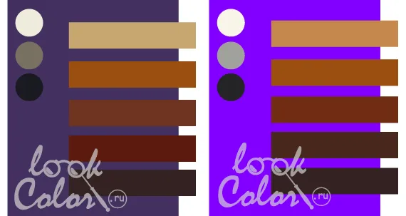 Центральный фиолетовый и глубокий фиолетовый в сочетании с коричневым