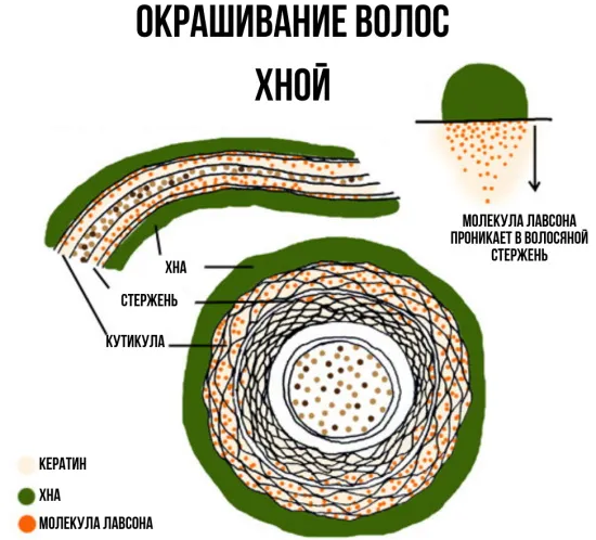 Как удалить хну с волос в домашних условиях