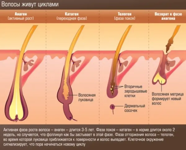 Классическое бикини