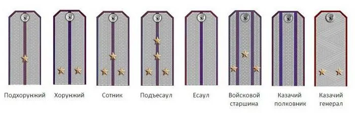 Казачьи чины и погоны Красной Армии в сравнении с воинскими званиями Вооруженных Сил Российской Федерации (фото)