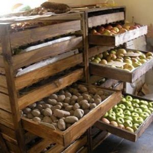 Как хранить картошку в одном погребе с яблоками и можно ли так делать