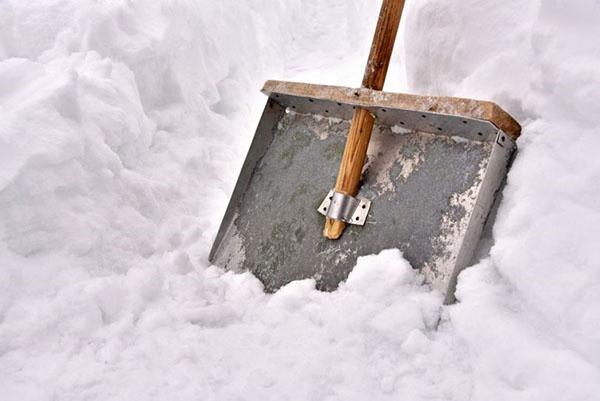 металлическая лопата для снега