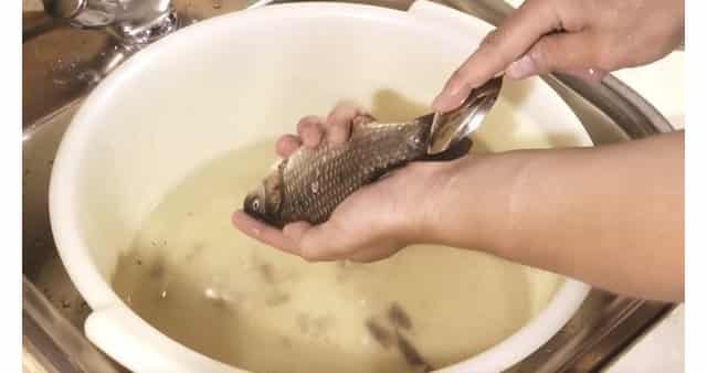 Чистим рыбу от чешуи ложкой