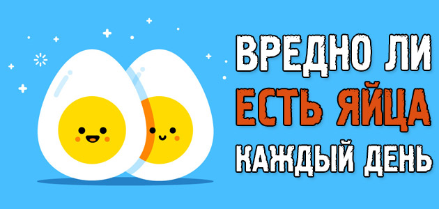 Вредно ли есть яйца каждый день