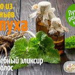 Доступное и эффективное средство – репейное масло