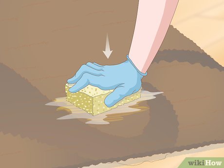 Изображение с названием Get Dog Urine Smell out of Carpets Step 3