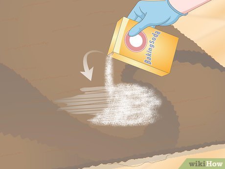 Изображение с названием Get Dog Urine Smell out of Carpets Step 4