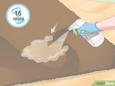 Изображение с названием Get Dog Urine Smell out of Carpets Step 2