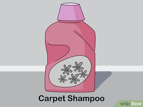 Изображение с названием Get Rid of Wet Carpet Smell Step 3