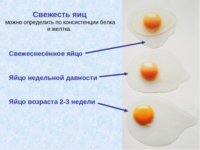 свежесть яйца