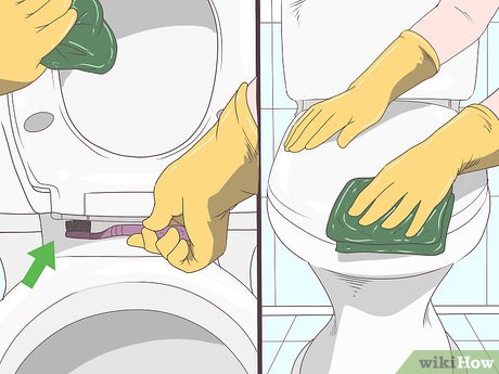 Изображение с названием Clean a Toilet Step 11