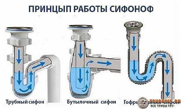 Фото – распространенные конструкции сифонов