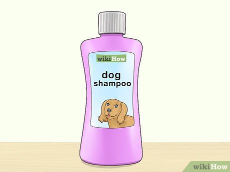 Изображение с названием Make Your Dog Smell Better Step 1