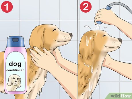 Изображение с названием Make Your Dog Smell Better Step 5