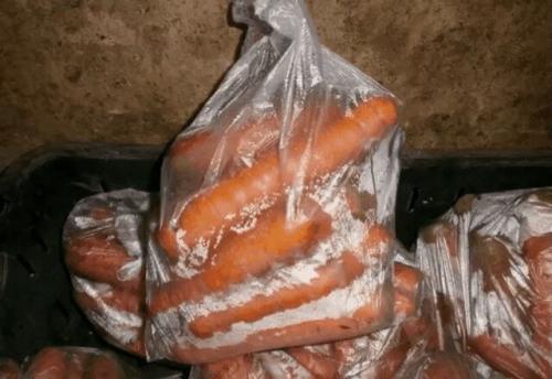 Как хранить морковь в холодильнике. Как хранить морковь в полиэтиленовом пакете всю зиму