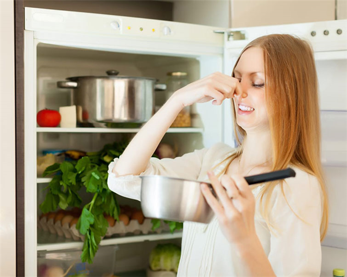 Причины появления запаха в холодильнике